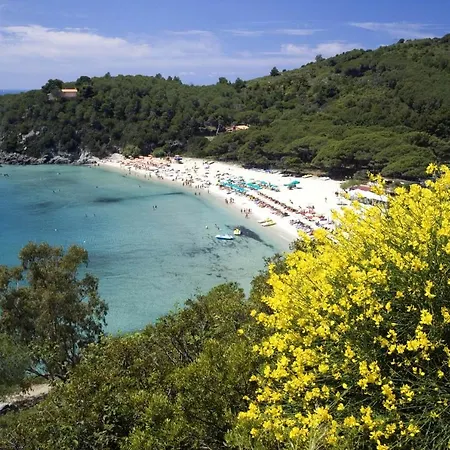 Fetovaia Beach Apartment *